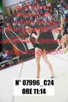 07996_C24
