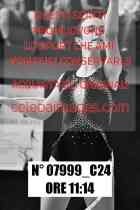 07999_C24