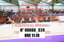 08088_C24
