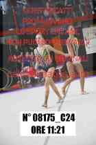 08175_C24