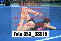 CS3_03915-