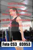 CS3_03953-