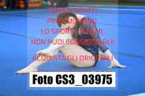 CS3_03975-