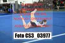 CS3_03977-
