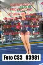CS3_03981-