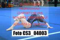 CS3_04003-