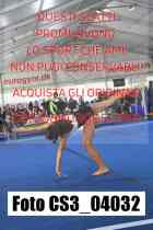CS3_04032-