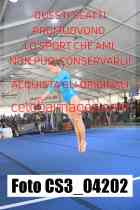 CS3_04202-