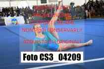 CS3_04209-