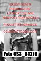 CS3_04216-