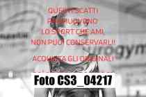 CS3_04217-