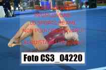 CS3_04220-