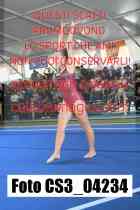 CS3_04234-