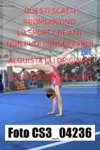 CS3_04236-