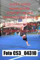 CS3_04310-