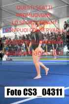 CS3_04311-