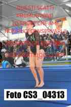 CS3_04313-