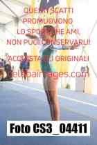 CS3_04411-