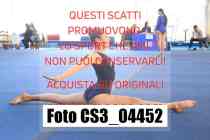 CS3_04452-