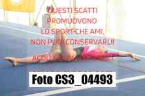 CS3_04493-