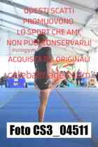 CS3_04511-