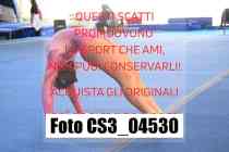 CS3_04530-