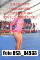 CS3_04533-