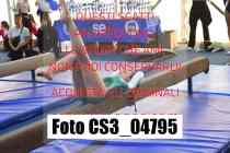 CS3_04795-