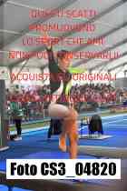CS3_04820-