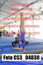 CS3_04830-