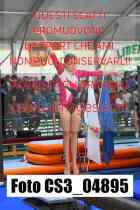 CS3_04895-
