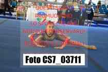 CS7_03711-