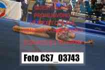 CS7_03743-