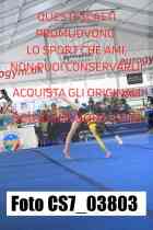 CS7_03803-