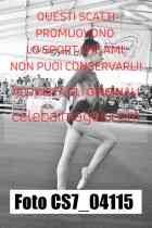 CS7_04115-