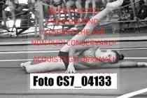 CS7_04133-