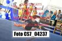 CS7_04237-