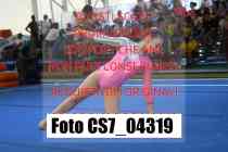 CS7_04319-