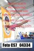 CS7_04334-