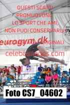 CS7_04602-