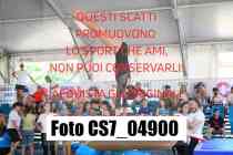 CS7_04900-