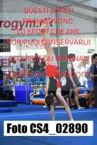 CS4_02890-