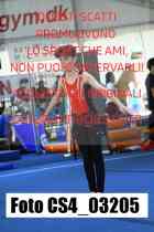 CS4_03205-