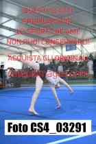 CS4_03291-