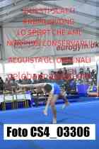 CS4_03306-