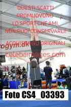 CS4_03393-