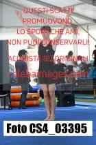 CS4_03395-