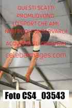 CS4_03543-