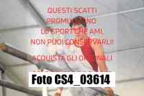 CS4_03614-