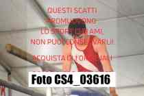 CS4_03616-